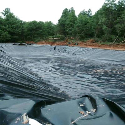 Hohe Dichte Fisch und Garnelen Teich Liner HDPE Geomembran mit wasserdichten Funktion
