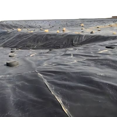 Hohe Dichte Fisch und Garnelen Teich Liner HDPE Geomembran mit wasserdichten Funktion