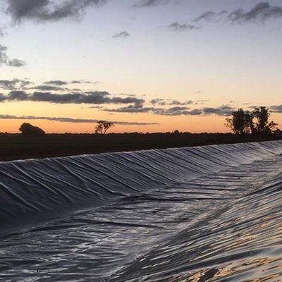 Modernes Design Glatte Geomembran 0,5 mm 1 mm 2 mm Fisch Teich Liner Wasserdicht Direkt verkaufen