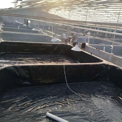 ISO9001-Standard HDPE-Geomembran verhindert Wasser und Leckagen mit Direktverkauf
