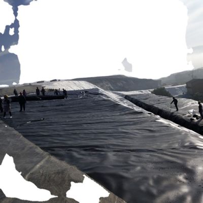 Graphische Gestaltungsfähigkeit Industrie-Stil HDPE Geomembran Liner 1,0 mm für Teich
