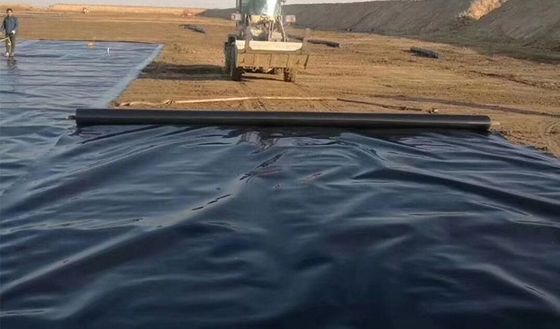 HDPE Geomembran Fischbecken Liner 0,5 mm 1 mm 2 mm für moderne Deponien Design Stil