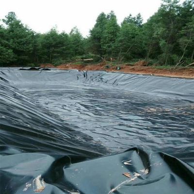 Geomembraneschiff für Fischbecken für Speicherbecken Länge 50-200m Standard ASTM GRI-GM13