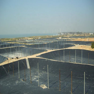 Anpassbare schwarze HDPE-Geomembran für 0,5 mm Fischbecken