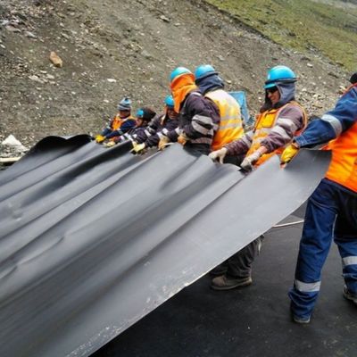 Doppelte Textur HDPE Geomembran Fischfarm Teich Liner mit Projektlösung Fähigkeit