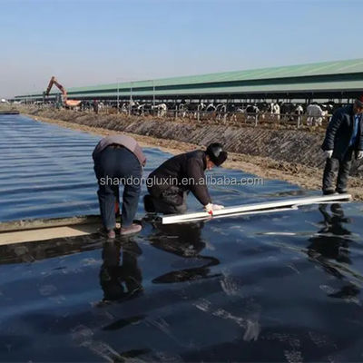 3D-Modelldesign HDPE-Geomembran für Industrieanlagen Bergbau Garnelenfarm Teich Liner