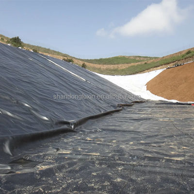 3D-Modelldesign HDPE-Geomembran für Industrieanlagen Bergbau Garnelenfarm Teich Liner