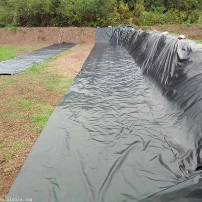 1.5mm Schwarze HDPE Geomembran für den See Damm Liner Farm Liner Industrial Design Stil