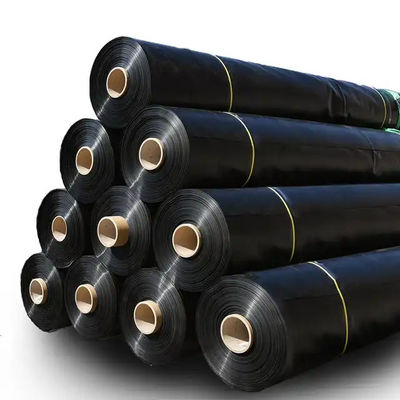 Glatte Geomembran 0,3 mm 0,5 mm Fischbecken Liner für die Aquakultur Moderne Design-Stil