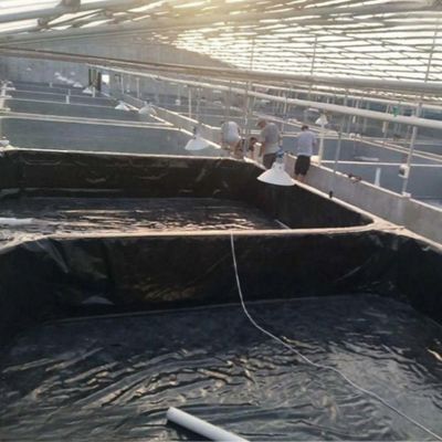 Glatte Geomembran 0,3 mm 0,5 mm Fischbecken Liner für die Aquakultur Moderne Design-Stil