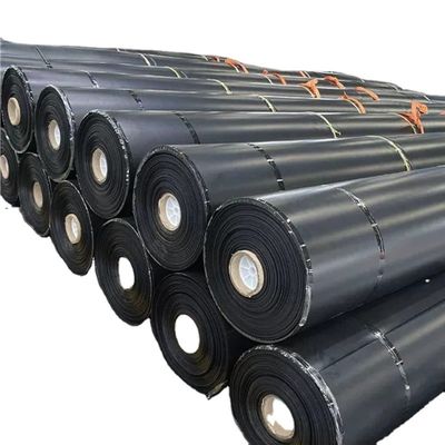 Nachverkaufsservice Doppelgleite schwarze Geomembran für Garnelenfarmen und Deponien