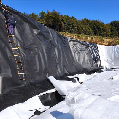 Außen-Doppelglätte Geomembran für Fischbecken und Deponien direkt verkauft