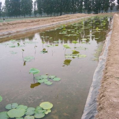 Außen-Doppelglätte Geomembran für Fischbecken und Deponien direkt verkauft