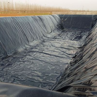 Außen-Doppelglätte Geomembran für Fischbecken und Deponien direkt verkauft