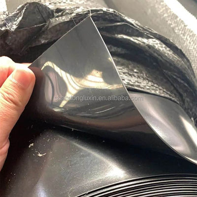 Singapur Fischkreuzzucht Wasserdichte HDPE Geomembran 0,3 mm mit Vor-Ort-Inspektion