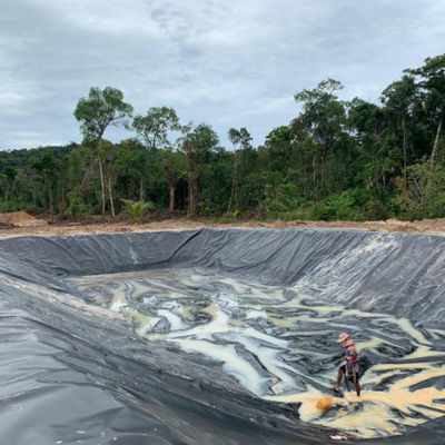 Singapur Fischkreuzzucht Wasserdichte HDPE Geomembran 0,3 mm mit Vor-Ort-Inspektion