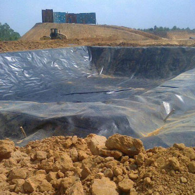 Singapur Fischkreuzzucht Wasserdichte HDPE Geomembran 0,3 mm mit Vor-Ort-Inspektion