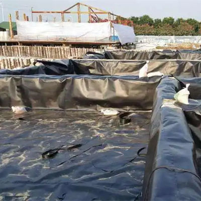Wasserdichte Geomembran aus HDPE für Dachgärten oder Garnelenbecken Langlebig und langlebig