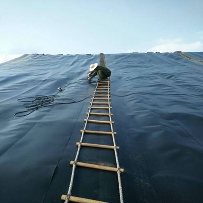 ASTM GRI-GM13 Standard 1 mm HDPE-Geomembran für Fischbecken und Deponien