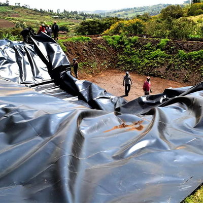 0.75mm HDPE Geomembran Wasserdicht für künstlichen See Tank Damm Deponie Auskleidung Liner