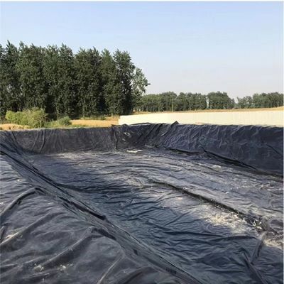 1.0mm HDPE-Geomembran für einen künstlichen See