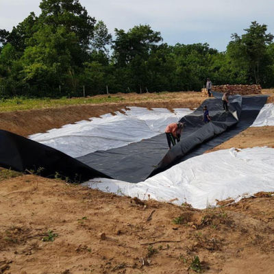 EPDM-EVA-HDPE-Teichbinder-Plastikfolie für Fisch, Garnelen Schwimmbad Landwirtschaft Teichstau