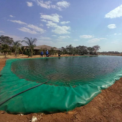 ASTM GRI-GM13 Standard 1mm 2mm HDPE Geomembran Fischbecken Liner für die Fischzucht