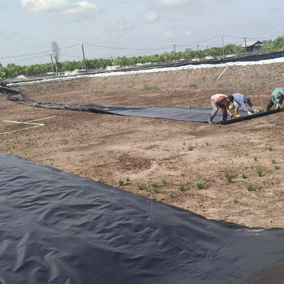 ASTM GRI-GM13 Standard 1mm 2mm HDPE Geomembran Fischbecken Liner für die Fischzucht
