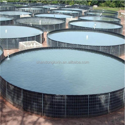 Doppelte Textur HDPE Geomembran 1 mm für wasserdichte Plastik-Damm-Liner Fisch-Teich-Liner
