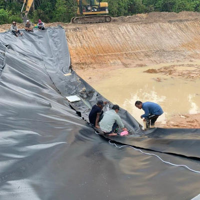 Doppelte Textur HDPE Geomembran 1 mm für wasserdichte Plastik-Damm-Liner Fisch-Teich-Liner