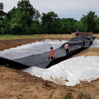 Doppelte Textur HDPE Geomembran 1 mm für wasserdichte Plastik-Damm-Liner Fisch-Teich-Liner