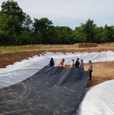 Doppelte Textur HDPE Geomembran 1 mm für wasserdichte Plastik-Damm-Liner Fisch-Teich-Liner