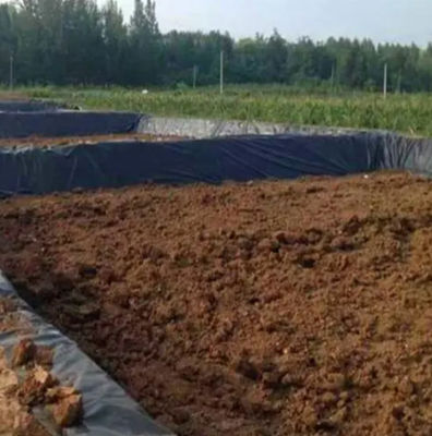 Doppelte Textur HDPE Geomembran 1 mm für wasserdichte Plastik-Damm-Liner Fisch-Teich-Liner