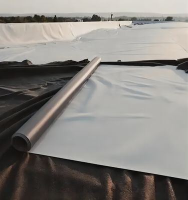 Vorgefertigte glatte Geomembran Texturgebundene Geomembran 2 mm für eine wasserdichte HDPE-Konstruktion