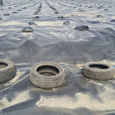ASTM GRI-GM13-Standard-HDPE-Glattgeomembraner Fischbecken-Liner für Speicherwässer
