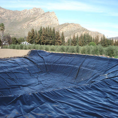 Geomembranen PVC LDPE HDPE Fische Teich Liner Damm Liner Länge 50-200m Dicke 0,3mm-2,8mm