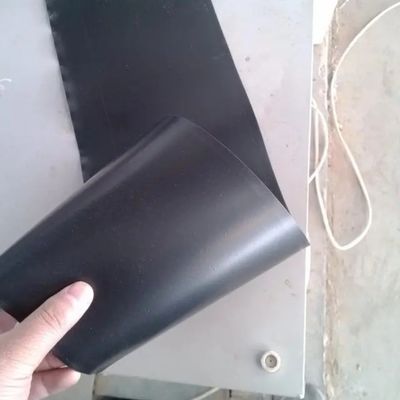 Modernes Design 2mm HDPE Doppelschleim Geomembran für Biogasverdauer Doppelschleim