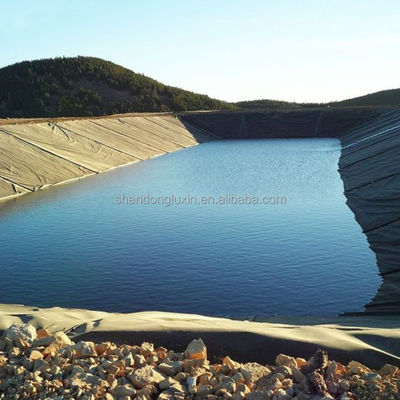 Geomembran aus schwarzem Polyethylen für Biogasverbrennungsanlagen 2 mm HDPE-Fischzucht-Teich-Liner
