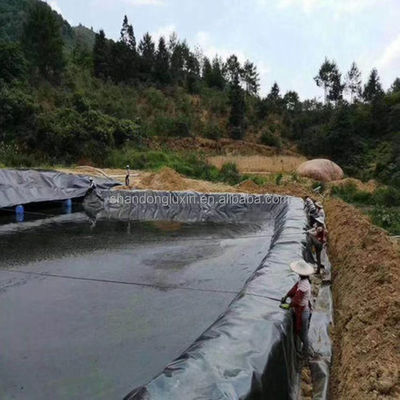2 mm Geomembran HDPE-Glanzfischbeckenfolie für Anti-Leckage-Wasser an Deponien