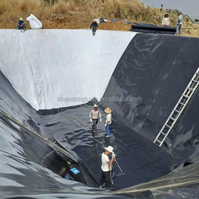 Gesamtlösung für Projekte Industriedesign-Stil HDPE Geomembran Fischzuchttanks