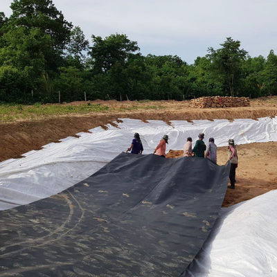 Doppel glatte Oberfläche 0,5 mm Fischfarm Teich Liner mit wasserdichtem Geomembran