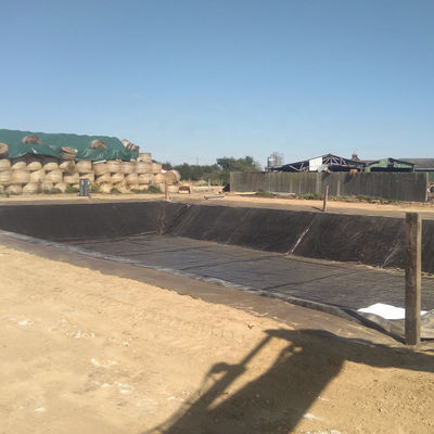 Doppel glatte Oberfläche 0,5 mm Fischfarm Teich Liner mit wasserdichtem Geomembran