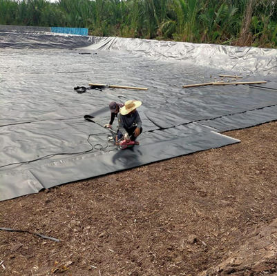 1m-8m Breite Doppelschleimige schwarze HDPE-Teichfolie für Fisch, Garnelen und Schwimmbäder