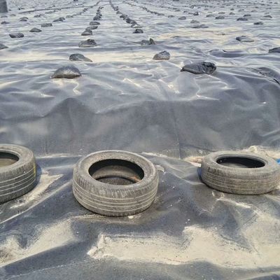 1.5mm glatte schwarze HDPE-Geomembran für die Außenumgebung Fisch Teich Liner Wasserdicht