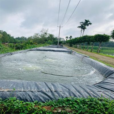 Außen-HDPE-Plastikmembran für Wasserbehälter und Fischbehälter in schwarzer Farbe