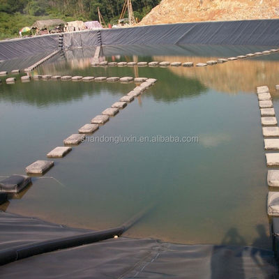 HDPE-Geomembran-durchlässige Lösung für Wasserschutzprojekte und Dammenschutz