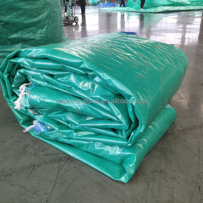 Ausgezeichnete Festigkeit Tarpaulin PE Tarpaulin für Outdoor-Tuning gebaut zu halten und zu schützen