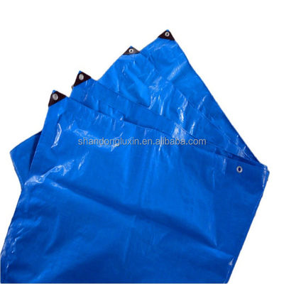 2024 PE-Tarnelle HDPE-Stoff Wasserdicht Blaue Poly-Tarnelle für Outdoor-Landwirtschaft