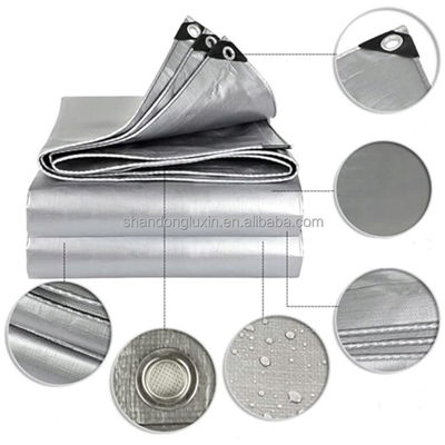 Blau-Silber-Leichtgewichts-PE-Platte mit Augenspitzen 6*6-16*16 auf dem vietnamesischen Markt