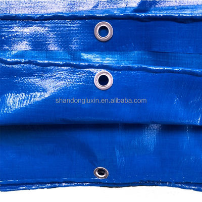 Stripe Style 50gm Blaue PE-Platte für langlebige Leistung